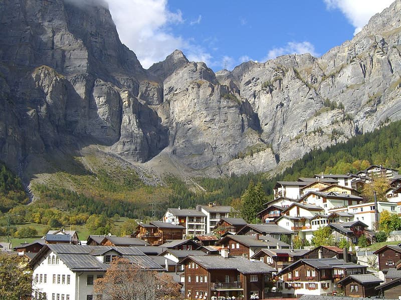 ロイカーバード