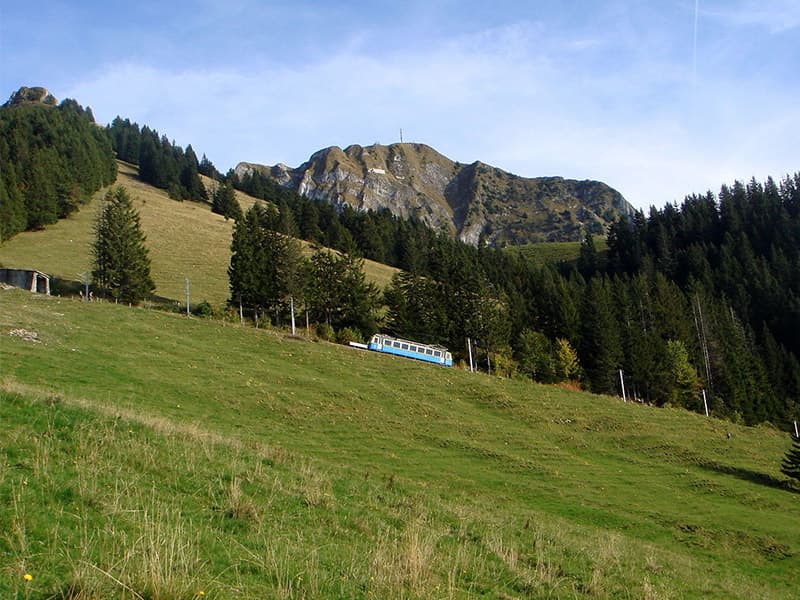 ロシェ・ド・ネ