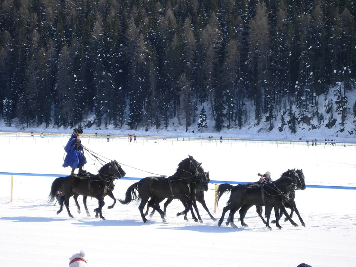 サンモリッツの氷上競馬